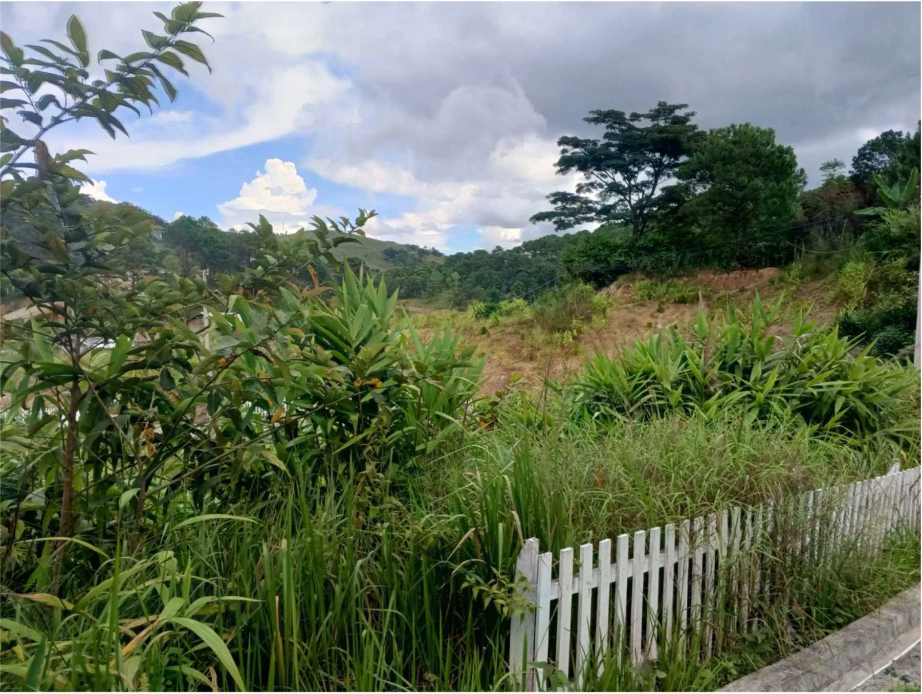 Paradise Plot-105 (Kalaw Garden Estate)