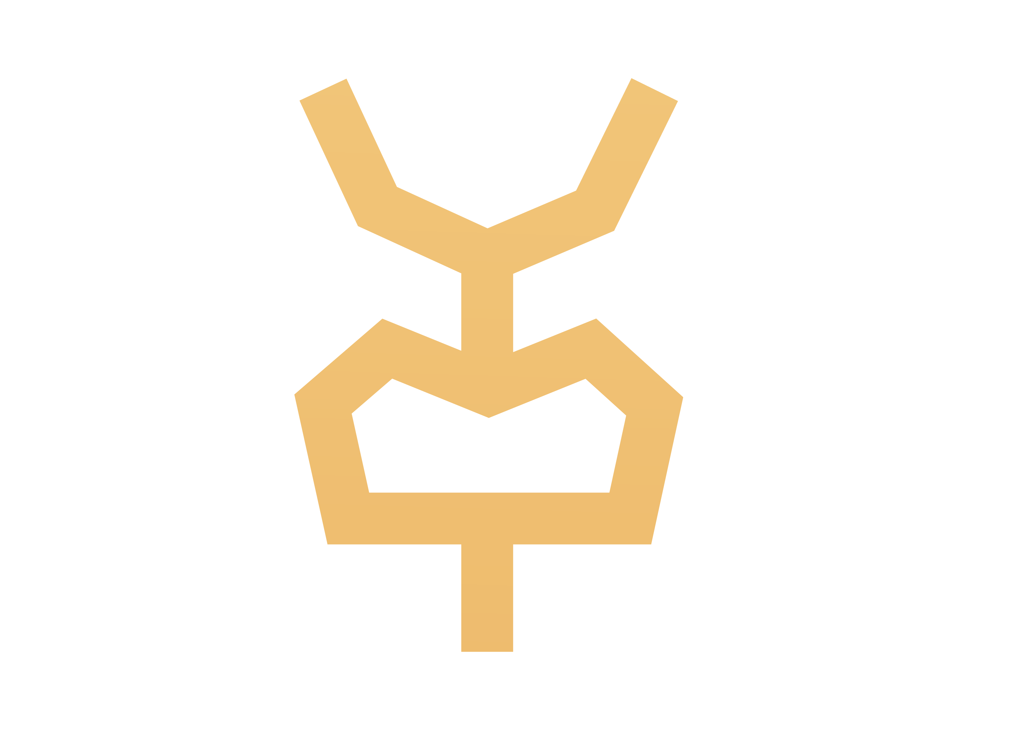 YMT