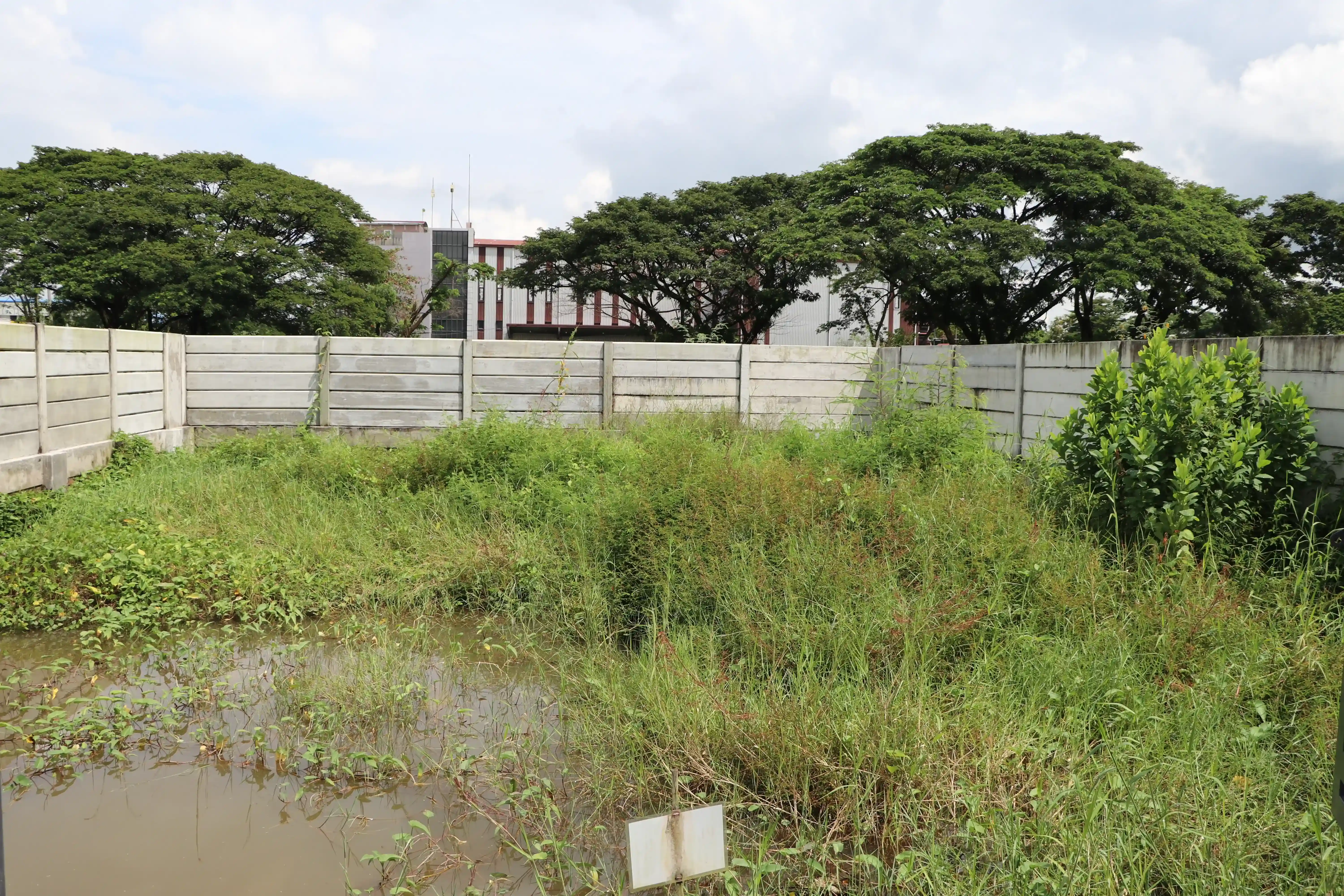 Plot 19 (Pin Lone Project)