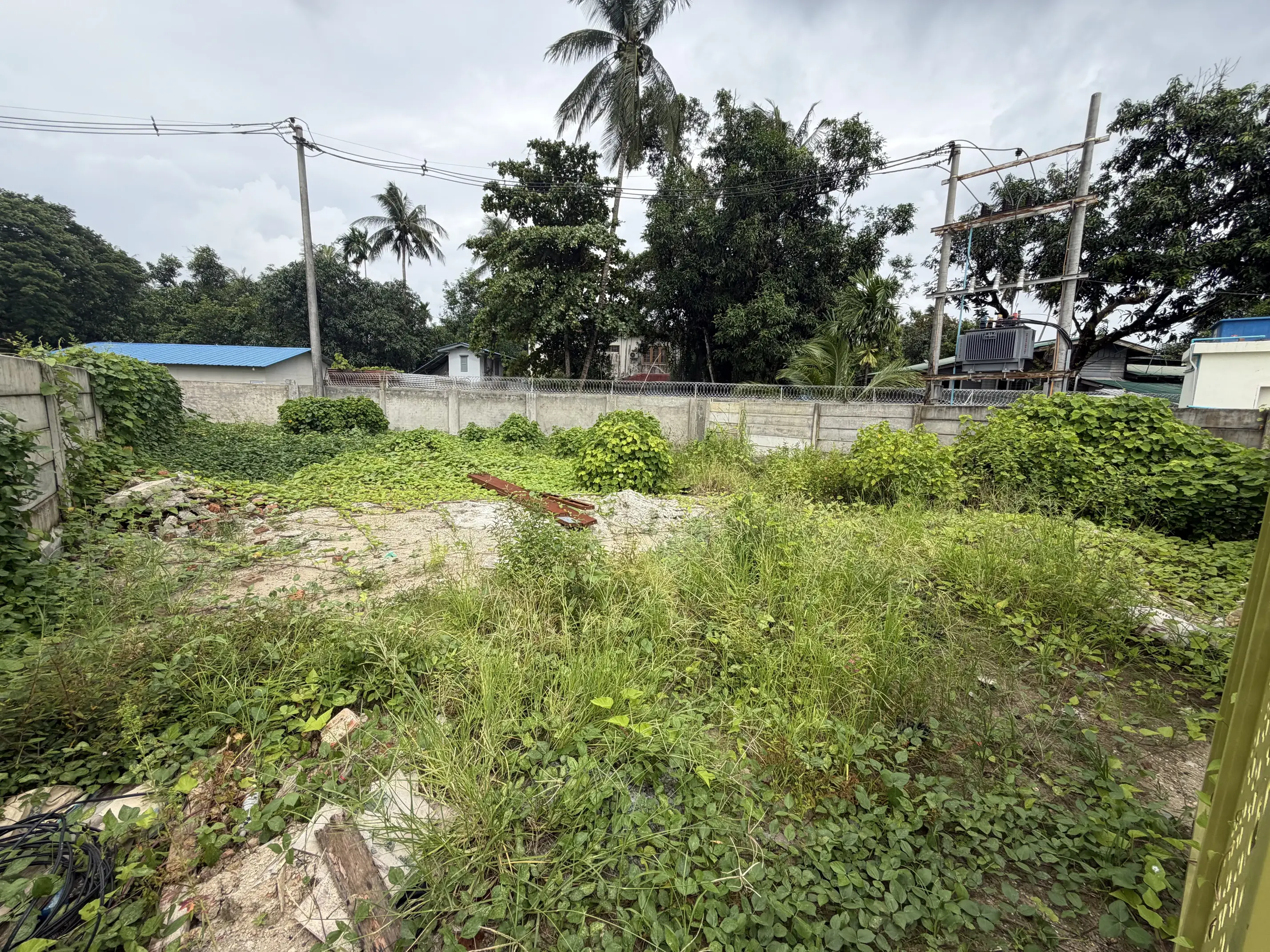 Lot 12C (The Palm Avenue)